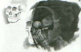 Totenschädel - Studie mit schwarzer und weißer Tusche und schwarzer Acrylfarbe auf Papier, ca. 30x50cm, 1988.jpg